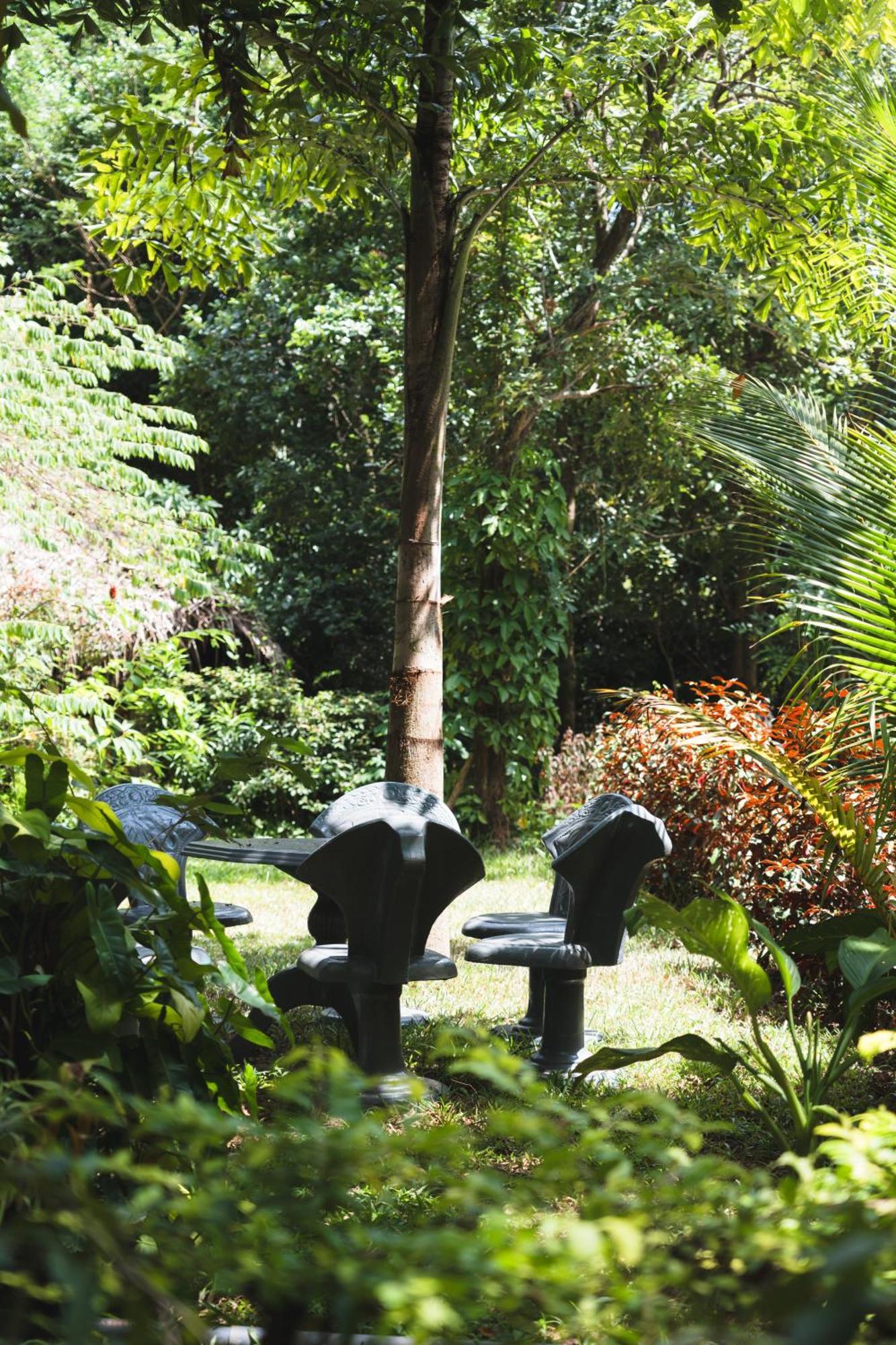 Sundaras Infinity Jungle Resort Dambulla Εξωτερικό φωτογραφία
